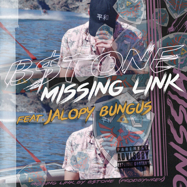 Missing Link cover