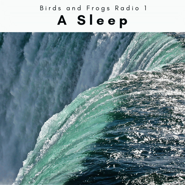 A Sleep
