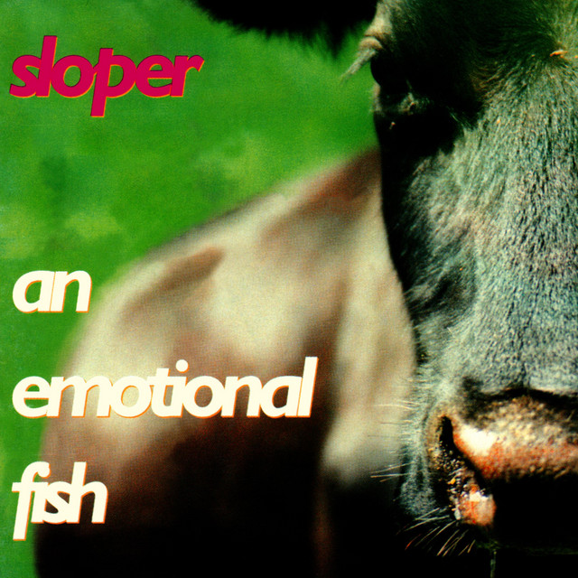 Sloper cover art