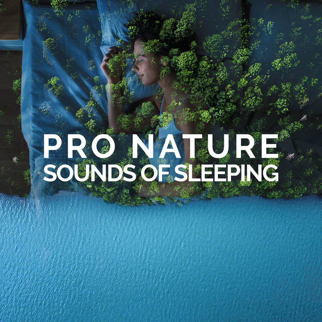 Pro Nature: Sounds Of Sleeping - Album by Pro Sounds of Nature | Spotify