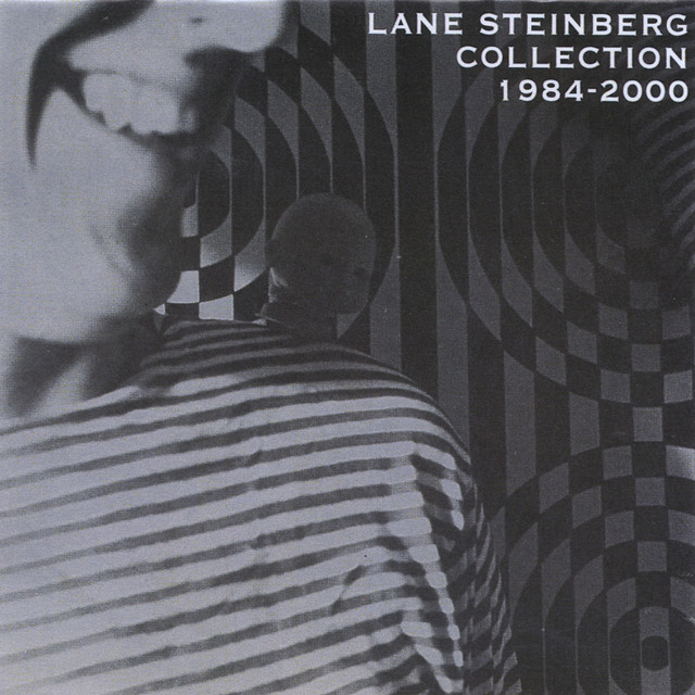 Lane Steinberg Collection 1984-2000 cover