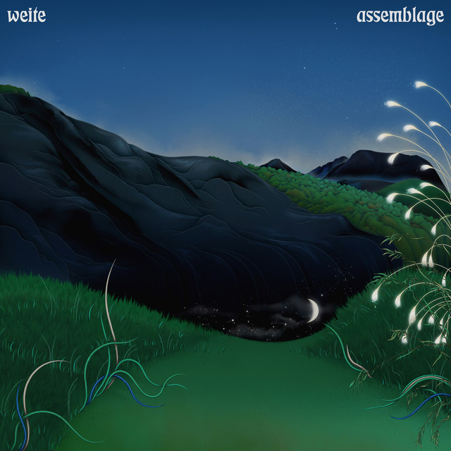 Assemblage cover art