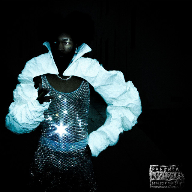 INCOGNEGRO cover art