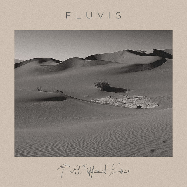 Two Different Lives cover art