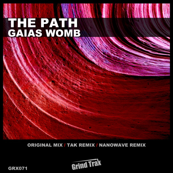 Gaias Womb - Nanowave Remix cover art