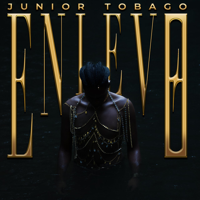 Enlevo cover art