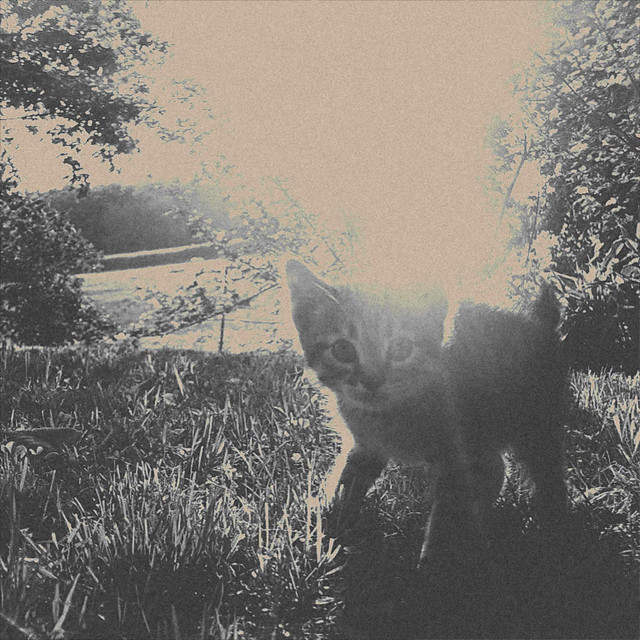 Throw It Away cover art