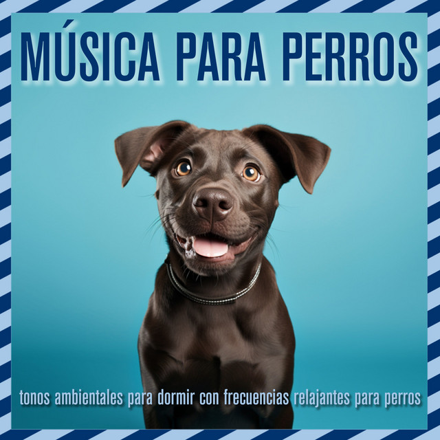 Música para perros: tonos ambientales para dormir con frecuencias relajantes para perros cover art