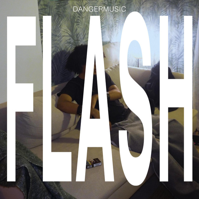 FLASH cover art