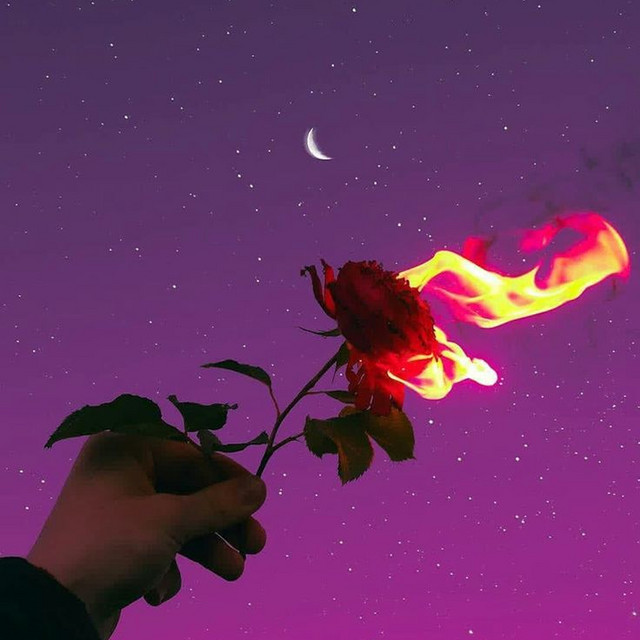 Scars cover art