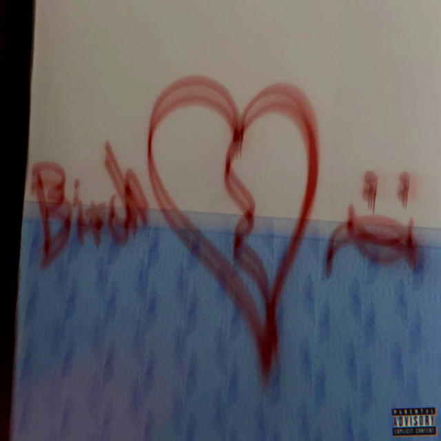 LuvboiBitch MIXTAPE cover art