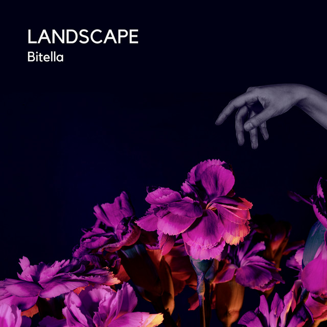 Landscape cover art