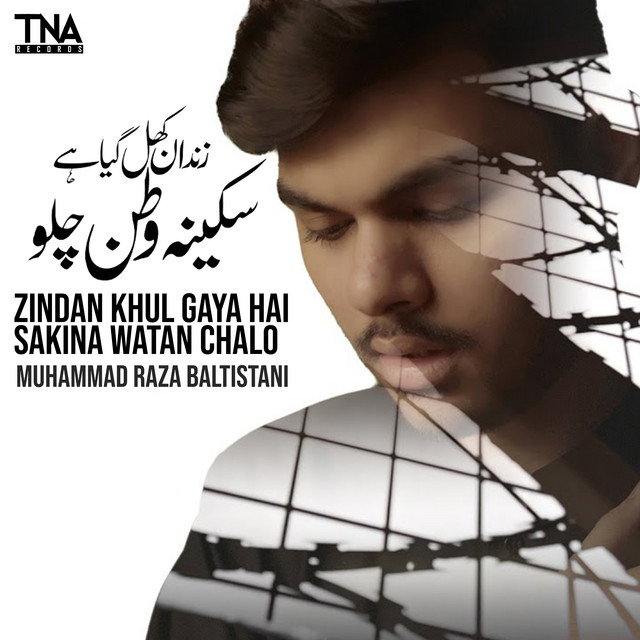 Muhammad Raza Baltistani