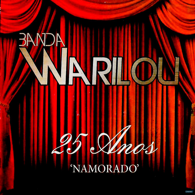25 Anos - Namorado cover art