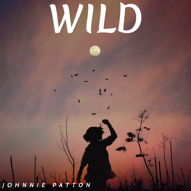 Wild cover art