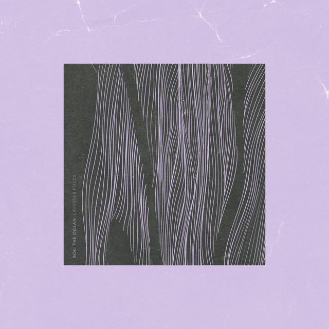 Lavender Fields cover