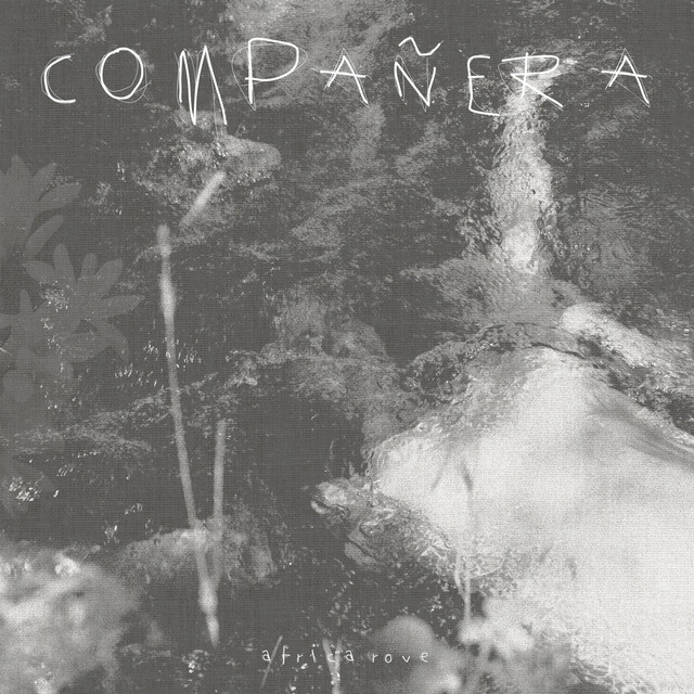 Compañera cover art