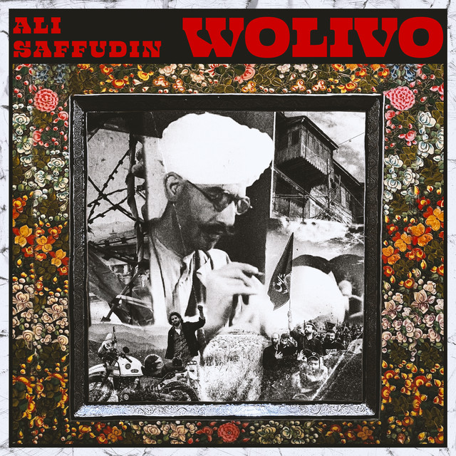 Wolivo cover art