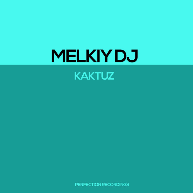Kaktuz - Fabio Remix cover art