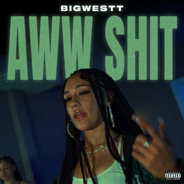 洋楽 we ain't shit b/w drugs are good Aww Shit - Single by BigWestt | Spotify
