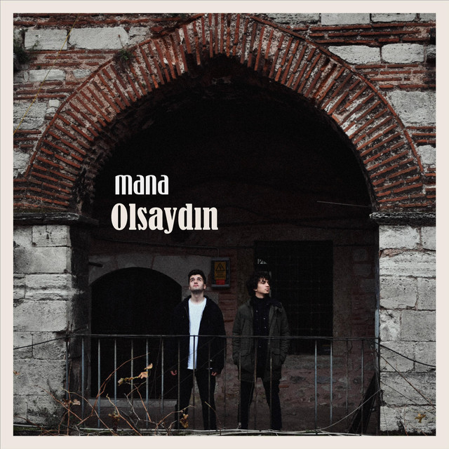 Olsaydın cover art