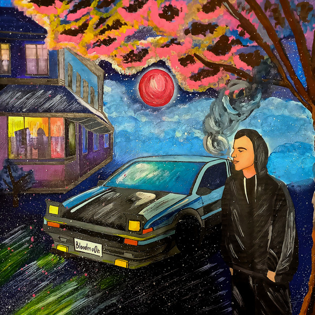 Петляю cover art
