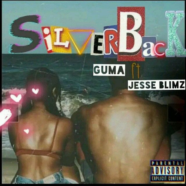 SilverBack cover art