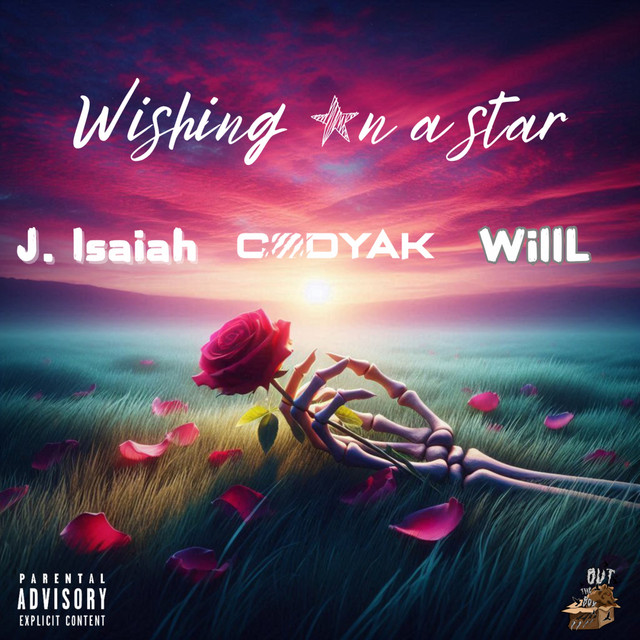 Wishing on a star