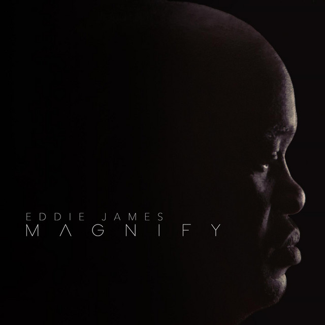 Magnify cover art