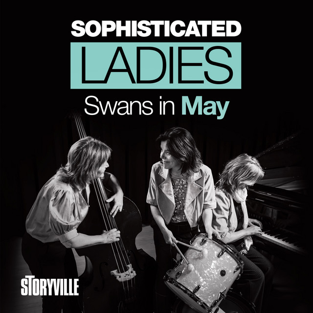 Swans in May