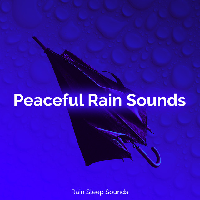Peaceful Rain Sounds - Album by Rain Sleep Sounds | Spotify