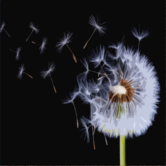 Wind and Rain for Background Sounds and Natural White Noise cover art