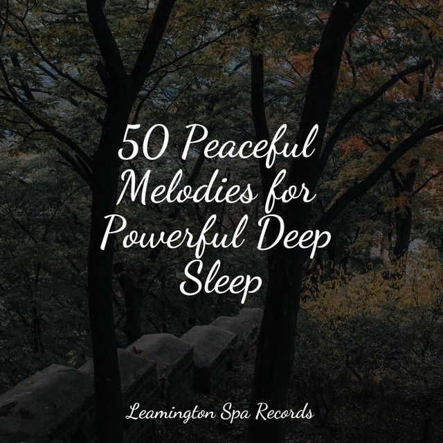 50 Peaceful Melodies for Powerful Deep Sleep - Album by Soothing Music ...