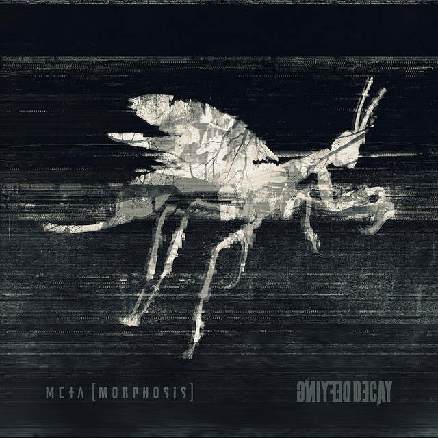 [META]MORPHOSIS cover art