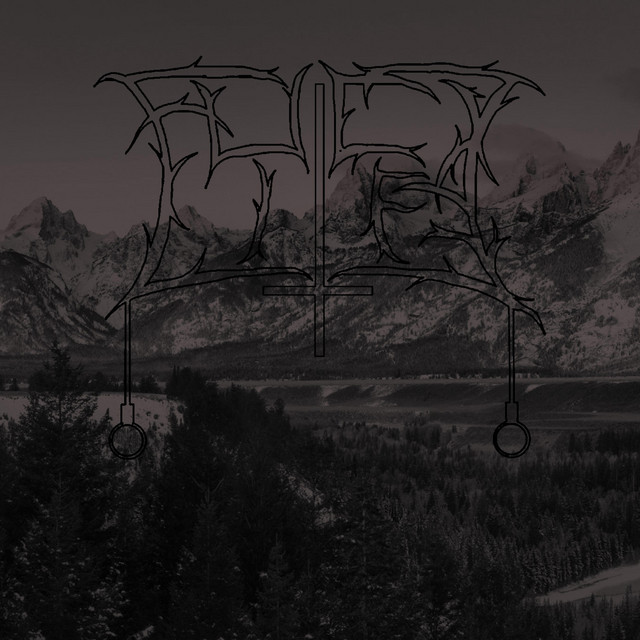 Life cover art