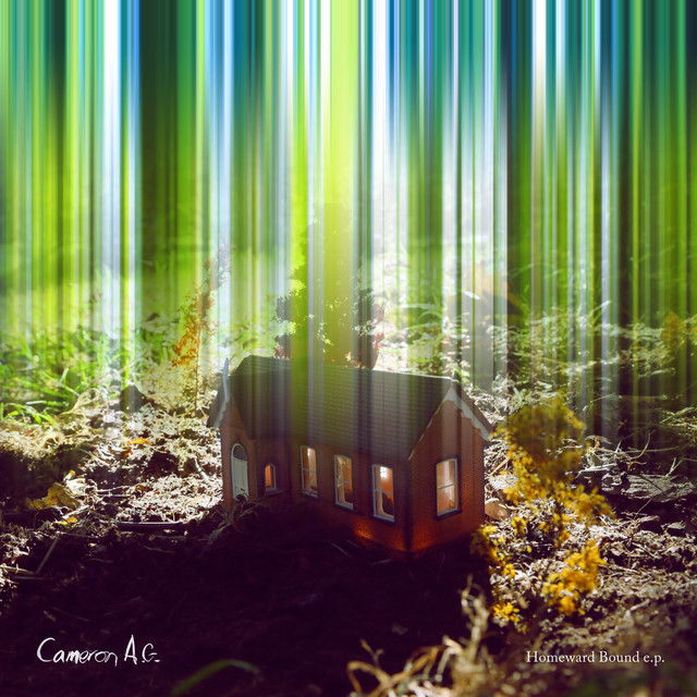Homeward Bound cover art