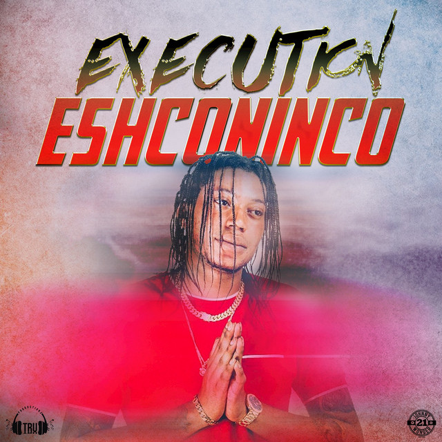 Execution cover art