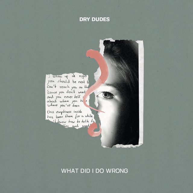 What Did I Do Wrong? cover