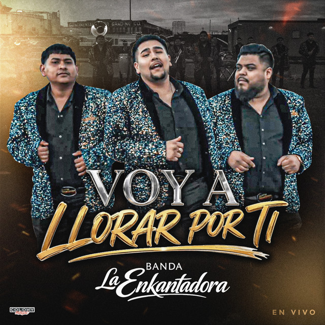 Voy A Llorar Por Ti album image