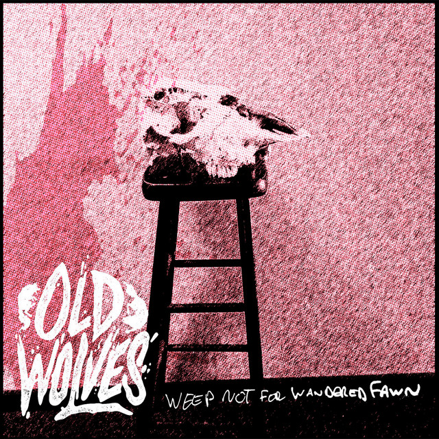 Weep Not for Wandered Fawn cover