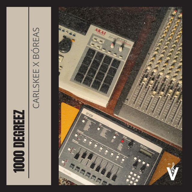 1000 Degreez cover art