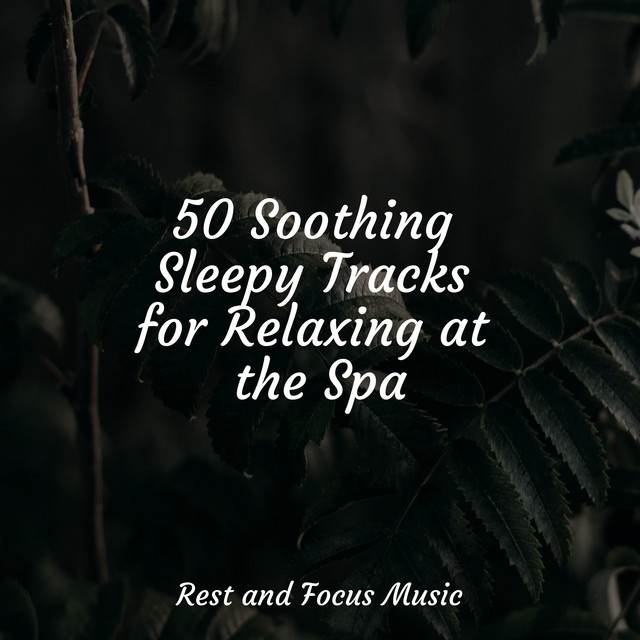 50 Soothing Sleepy Tracks for Relaxing at the Spa - Album by ...
