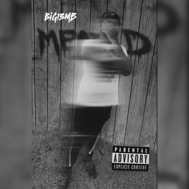 MEAD cover art