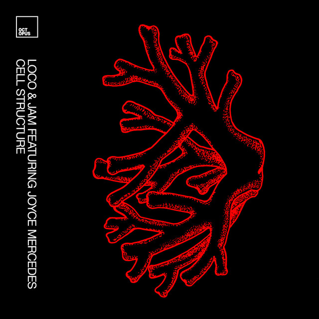 Cell Structure - Original Mix