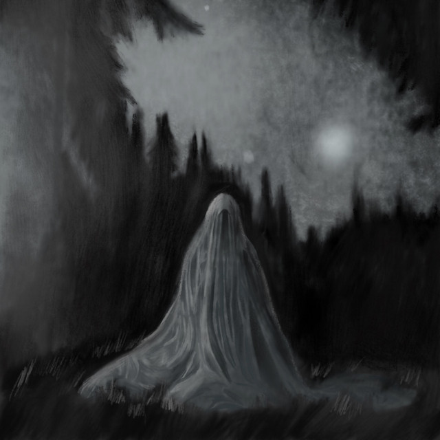 Veil of Death! Shroud of Nite cover art