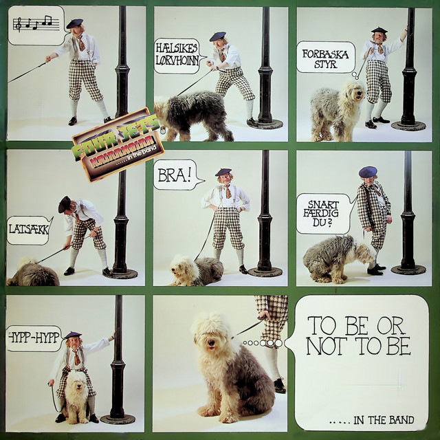 Hainnhoinn......In The Band (To be or not to be, Remastered) cover art