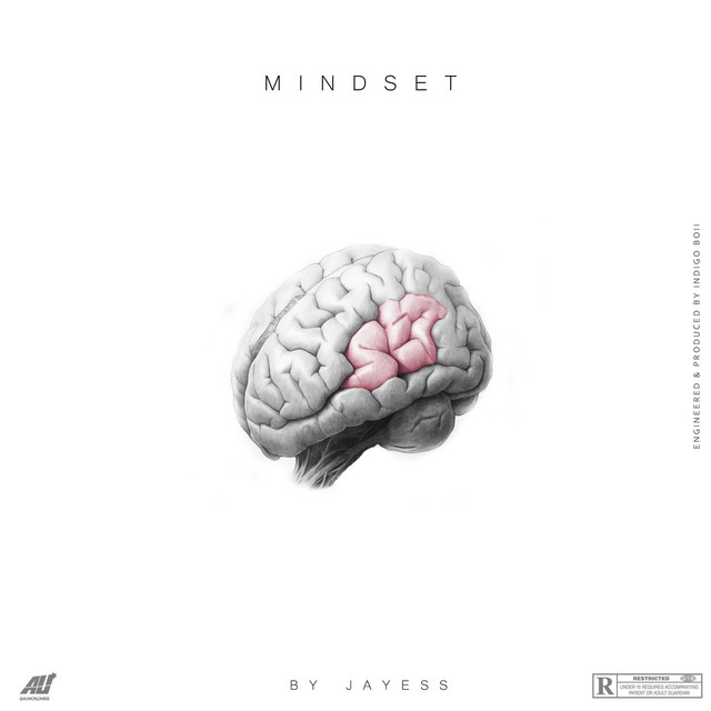 Mindset cover art