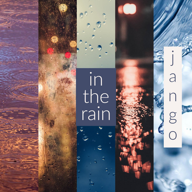 In the Rain cover art