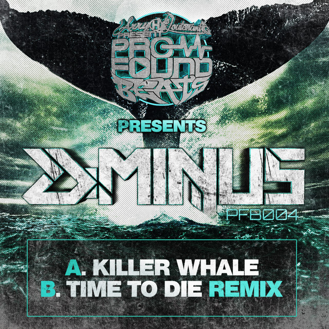 Killer Whale artwork