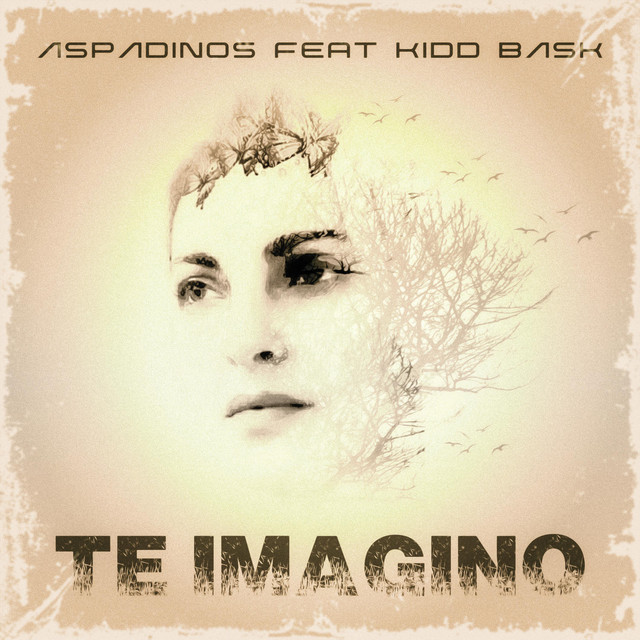 TE IMAGINO